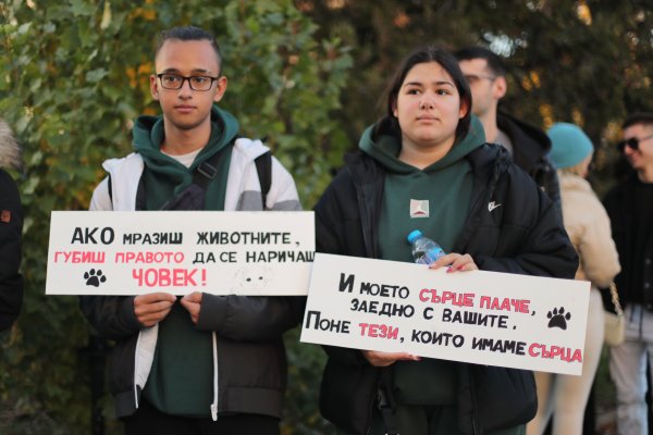 Снимка: Димитър Кьосемарлиев, Dnes.bg